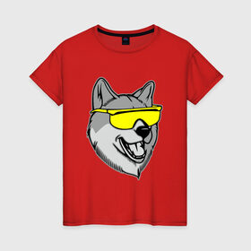 Женская футболка хлопок с принтом Хаски в очках в Новосибирске, 100% хлопок | прямой крой, круглый вырез горловины, длина до линии бедер, слегка спущенное плечо | голова | животные | очки | пес | собака | хаски