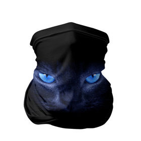 Бандана-труба 3D с принтом Кошка с голубыми глазами в Новосибирске, 100% полиэстер, ткань с особыми свойствами — Activecool | плотность 150‒180 г/м2; хорошо тянется, но сохраняет форму | глаза | кот | синий