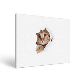 Холст прямоугольный с принтом Котик в Новосибирске, 100% ПВХ |  | Тематика изображения на принте: кот | котенок | котик | кошка | милый