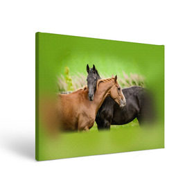 Холст прямоугольный с принтом Лошади 2 в Новосибирске, 100% ПВХ |  | horse | horseshoe | акварель | головалошади | грива | единорог | жеребец | животные | конь | лошадь | лошадьскрыльями | подкова | природа | рисуноккрасками
