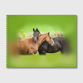 Альбом для рисования с принтом Лошади 2 в Новосибирске, 100% бумага
 | матовая бумага, плотность 200 мг. | horse | horseshoe | акварель | головалошади | грива | единорог | жеребец | животные | конь | лошадь | лошадьскрыльями | подкова | природа | рисуноккрасками