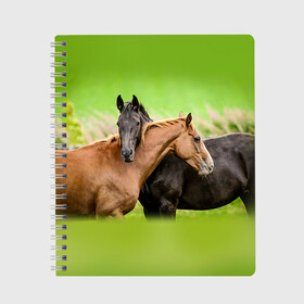 Тетрадь с принтом Лошади 2 в Новосибирске, 100% бумага | 48 листов, плотность листов — 60 г/м2, плотность картонной обложки — 250 г/м2. Листы скреплены сбоку удобной пружинной спиралью. Уголки страниц и обложки скругленные. Цвет линий — светло-серый
 | horse | horseshoe | акварель | головалошади | грива | единорог | жеребец | животные | конь | лошадь | лошадьскрыльями | подкова | природа | рисуноккрасками