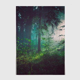 Постер с принтом Таинственный лес в Новосибирске, 100% бумага
 | бумага, плотность 150 мг. Матовая, но за счет высокого коэффициента гладкости имеет небольшой блеск и дает на свету блики, но в отличии от глянцевой бумаги не покрыта лаком | деревья | зелень | на макете изображен таинственный зеленый леслес