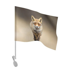 Флаг для автомобиля с принтом Лиса бежит в Новосибирске, 100% полиэстер | Размер: 30*21 см | лиса