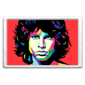 Магнит 45*70 с принтом Jim morrison в Новосибирске, Пластик | Размер: 78*52 мм; Размер печати: 70*45 | Тематика изображения на принте: jim morrison джим моррисон | поп арт | портрет