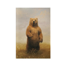 Обложка для паспорта матовая кожа с принтом Медведь в поле в Новосибирске, натуральная матовая кожа | размер 19,3 х 13,7 см; прозрачные пластиковые крепления | bear | медведь | одуванчики | русский медведь в чистом русском поле мечта патриотаполе | сено