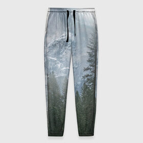 Мужские брюки 3D с принтом лес в Новосибирске, 100% полиэстер | манжеты по низу, эластичный пояс регулируется шнурком, по бокам два кармана без застежек, внутренняя часть кармана из мелкой сетки | лес | мгла | мрачность | темнота | туман