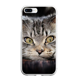 Чехол для iPhone 7Plus/8 Plus матовый с принтом Кот в Новосибирске, Силикон | Область печати: задняя сторона чехла, без боковых панелей | домашняя | животное | кот | котэ | кошка