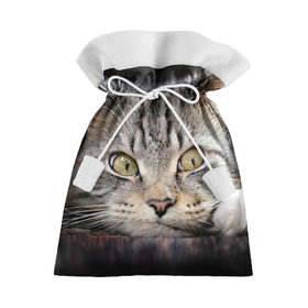 Подарочный 3D мешок с принтом Кот в Новосибирске, 100% полиэстер | Размер: 29*39 см | домашняя | животное | кот | котэ | кошка