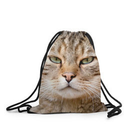 Рюкзак-мешок 3D с принтом Кот в Новосибирске, 100% полиэстер | плотность ткани — 200 г/м2, размер — 35 х 45 см; лямки — толстые шнурки, застежка на шнуровке, без карманов и подкладки | дикий | животное | кот | котэ | кошка