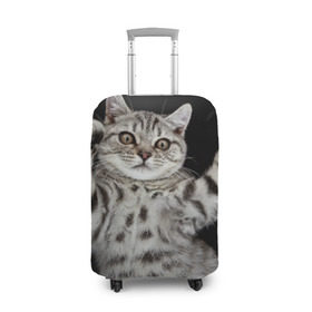 Чехол для чемодана 3D с принтом Кот в Новосибирске, 86% полиэфир, 14% спандекс | двустороннее нанесение принта, прорези для ручек и колес | домашняя | животное | кот | котэ | кошка