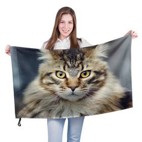 Флаг 3D с принтом Кот в Новосибирске, 100% полиэстер | плотность ткани — 95 г/м2, размер — 67 х 109 см. Принт наносится с одной стороны | домашняя | животное | кот | котэ | кошка