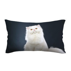 Подушка 3D антистресс с принтом Кот в Новосибирске, наволочка — 100% полиэстер, наполнитель — вспененный полистирол | состоит из подушки и наволочки на молнии | домашняя | животное | кот | котэ | кошка