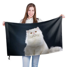 Флаг 3D с принтом Кот в Новосибирске, 100% полиэстер | плотность ткани — 95 г/м2, размер — 67 х 109 см. Принт наносится с одной стороны | домашняя | животное | кот | котэ | кошка