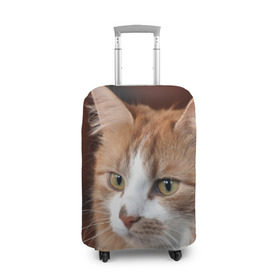 Чехол для чемодана 3D с принтом Кот в Новосибирске, 86% полиэфир, 14% спандекс | двустороннее нанесение принта, прорези для ручек и колес | домашняя | животное | кот | котэ | кошка