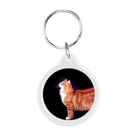Брелок круглый с принтом Рыжий кот в Новосибирске, пластик и полированная сталь | круглая форма, металлическое крепление в виде кольца | домашняя | животное | кот | котэ | кошка | рыжая