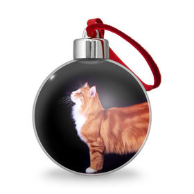 Ёлочный шар с принтом Рыжий кот в Новосибирске, Пластик | Диаметр: 77 мм | домашняя | животное | кот | котэ | кошка | рыжая