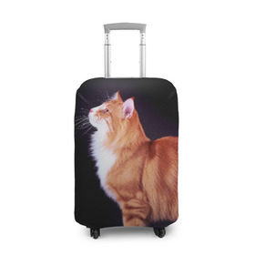 Чехол для чемодана 3D с принтом Рыжий кот в Новосибирске, 86% полиэфир, 14% спандекс | двустороннее нанесение принта, прорези для ручек и колес | домашняя | животное | кот | котэ | кошка | рыжая
