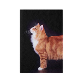 Обложка для паспорта матовая кожа с принтом Рыжий кот в Новосибирске, натуральная матовая кожа | размер 19,3 х 13,7 см; прозрачные пластиковые крепления | Тематика изображения на принте: домашняя | животное | кот | котэ | кошка | рыжая