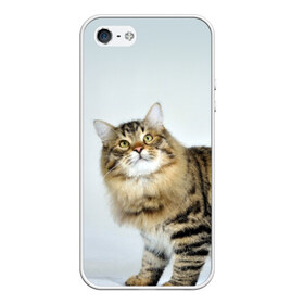 Чехол силиконовый для Телефон Apple iPhone 5/5S с принтом Кот в Новосибирске, Силикон | Область печати: задняя сторона чехла, без боковых панелей | Тематика изображения на принте: домашняя | животное | кот | котэ | кошка