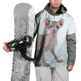 Накидка на куртку 3D с принтом Сфинкс в Новосибирске, 100% полиэстер |  | Тематика изображения на принте: домашняя | животное | кот | котэ | кошка | сфинкс