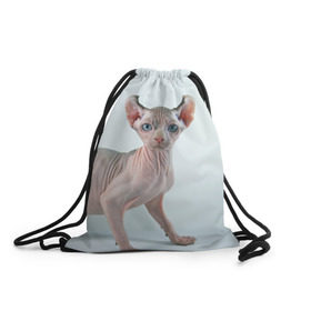 Рюкзак-мешок 3D с принтом Сфинкс в Новосибирске, 100% полиэстер | плотность ткани — 200 г/м2, размер — 35 х 45 см; лямки — толстые шнурки, застежка на шнуровке, без карманов и подкладки | Тематика изображения на принте: домашняя | животное | кот | котэ | кошка | сфинкс