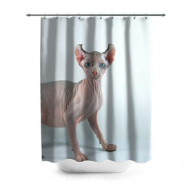 Штора 3D для ванной с принтом Сфинкс в Новосибирске, 100% полиэстер | плотность материала — 100 г/м2. Стандартный размер — 146 см х 180 см. По верхнему краю — пластиковые люверсы для креплений. В комплекте 10 пластиковых колец | Тематика изображения на принте: домашняя | животное | кот | котэ | кошка | сфинкс