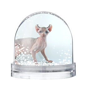 Снежный шар с принтом Сфинкс в Новосибирске, Пластик | Изображение внутри шара печатается на глянцевой фотобумаге с двух сторон | домашняя | животное | кот | котэ | кошка | сфинкс