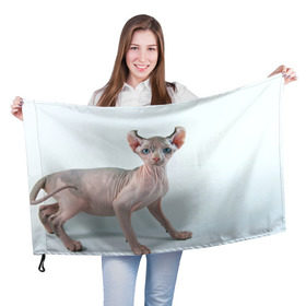 Флаг 3D с принтом Сфинкс в Новосибирске, 100% полиэстер | плотность ткани — 95 г/м2, размер — 67 х 109 см. Принт наносится с одной стороны | домашняя | животное | кот | котэ | кошка | сфинкс