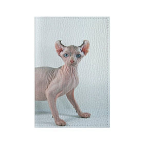 Обложка для паспорта матовая кожа с принтом Сфинкс в Новосибирске, натуральная матовая кожа | размер 19,3 х 13,7 см; прозрачные пластиковые крепления | домашняя | животное | кот | котэ | кошка | сфинкс