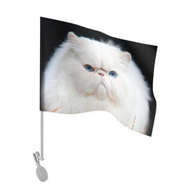 Флаг для автомобиля с принтом Персидский кот в Новосибирске, 100% полиэстер | Размер: 30*21 см | Тематика изображения на принте: домашняя | животное | кот | котэ | кошка | персидский