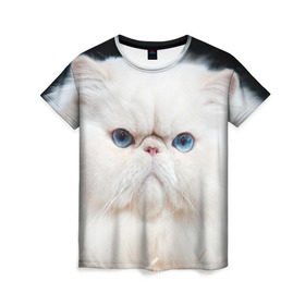 Женская футболка 3D с принтом Персидский кот в Новосибирске, 100% полиэфир ( синтетическое хлопкоподобное полотно) | прямой крой, круглый вырез горловины, длина до линии бедер | домашняя | животное | кот | котэ | кошка | персидский
