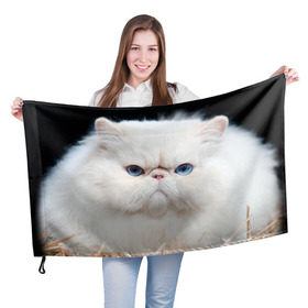 Флаг 3D с принтом Персидский кот в Новосибирске, 100% полиэстер | плотность ткани — 95 г/м2, размер — 67 х 109 см. Принт наносится с одной стороны | домашняя | животное | кот | котэ | кошка | персидский
