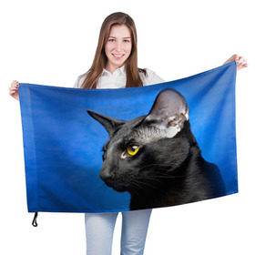 Флаг 3D с принтом Черный кот в Новосибирске, 100% полиэстер | плотность ткани — 95 г/м2, размер — 67 х 109 см. Принт наносится с одной стороны | домашняя | животное | кот | котэ | кошка | черный