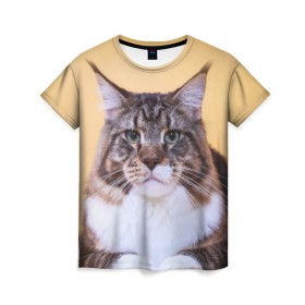 Женская футболка 3D с принтом Байкун в Новосибирске, 100% полиэфир ( синтетическое хлопкоподобное полотно) | прямой крой, круглый вырез горловины, длина до линии бедер | байкун | домашняя | животное | кот | котэ | кошка