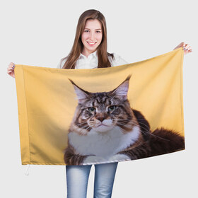 Флаг 3D с принтом Байкун в Новосибирске, 100% полиэстер | плотность ткани — 95 г/м2, размер — 67 х 109 см. Принт наносится с одной стороны | байкун | домашняя | животное | кот | котэ | кошка