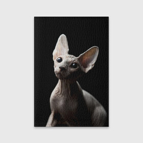 Обложка для паспорта матовая кожа с принтом Сфинкс в Новосибирске, натуральная матовая кожа | размер 19,3 х 13,7 см; прозрачные пластиковые крепления | Тематика изображения на принте: домашняя | животное | кот | котэ | кошка | сфинкс