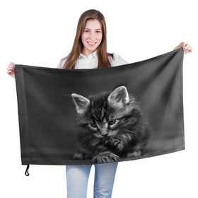 Флаг 3D с принтом Котенок в Новосибирске, 100% полиэстер | плотность ткани — 95 г/м2, размер — 67 х 109 см. Принт наносится с одной стороны | домашняя | животное | кот | котэ | кошка