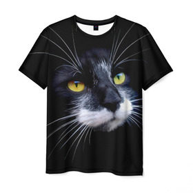 Мужская футболка 3D с принтом Кот в Новосибирске, 100% полиэфир | прямой крой, круглый вырез горловины, длина до линии бедер | домашняя | животное | кот | котэ | кошка