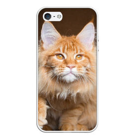 Чехол силиконовый для Телефон Apple iPhone 5/5S с принтом Кот в Новосибирске, Силикон | Область печати: задняя сторона чехла, без боковых панелей | Тематика изображения на принте: домашняя | животное | кот | котэ | кошка