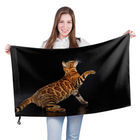 Флаг 3D с принтом Бенгальская кошка в Новосибирске, 100% полиэстер | плотность ткани — 95 г/м2, размер — 67 х 109 см. Принт наносится с одной стороны | бенгальская | домашняя | животное | кот | котэ | кошка