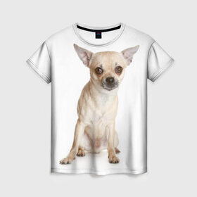 Женская футболка 3D с принтом Чихуахуа в Новосибирске, 100% полиэфир ( синтетическое хлопкоподобное полотно) | прямой крой, круглый вырез горловины, длина до линии бедер | животное | порода | собака | чихуахуа