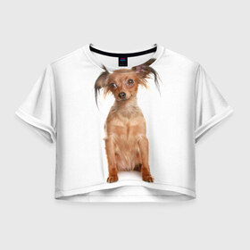 Женская футболка 3D укороченная с принтом Той-терьер в Новосибирске, 100% полиэстер | круглая горловина, длина футболки до линии талии, рукава с отворотами | животное | порода | собака | той терьер