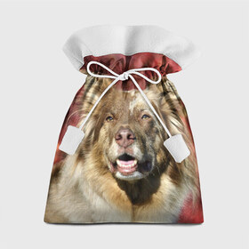 Подарочный 3D мешок с принтом Австралийская овчарка в Новосибирске, 100% полиэстер | Размер: 29*39 см | Тематика изображения на принте: австралийская овчарка | животное | порода | собака