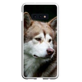 Чехол для Samsung S10E с принтом Аляскинский маламут в Новосибирске, Силикон | Область печати: задняя сторона чехла, без боковых панелей | аляскинский маламут | животное | порода | собака