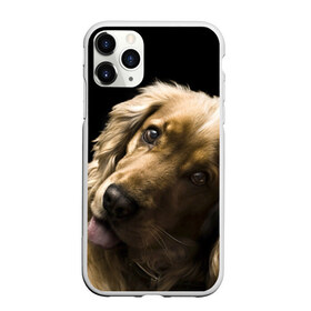 Чехол для iPhone 11 Pro матовый с принтом Английский кокер-спаниель в Новосибирске, Силикон |  | Тематика изображения на принте: английский кокер спаниель | животно | порода | собака