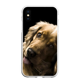 Чехол для iPhone XS Max матовый с принтом Английский кокер-спаниель в Новосибирске, Силикон | Область печати: задняя сторона чехла, без боковых панелей | Тематика изображения на принте: английский кокер спаниель | животно | порода | собака