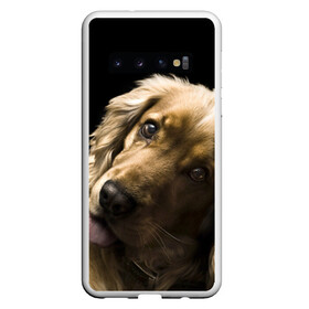 Чехол для Samsung Galaxy S10 с принтом Английский кокер-спаниель в Новосибирске, Силикон | Область печати: задняя сторона чехла, без боковых панелей | Тематика изображения на принте: английский кокер спаниель | животно | порода | собака