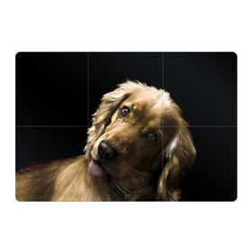 Магнитный плакат 3Х2 с принтом Английский кокер-спаниель в Новосибирске, Полимерный материал с магнитным слоем | 6 деталей размером 9*9 см | Тематика изображения на принте: английский кокер спаниель | животно | порода | собака