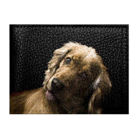Обложка для студенческого билета с принтом Английский кокер-спаниель в Новосибирске, натуральная кожа | Размер: 11*8 см; Печать на всей внешней стороне | Тематика изображения на принте: английский кокер спаниель | животно | порода | собака